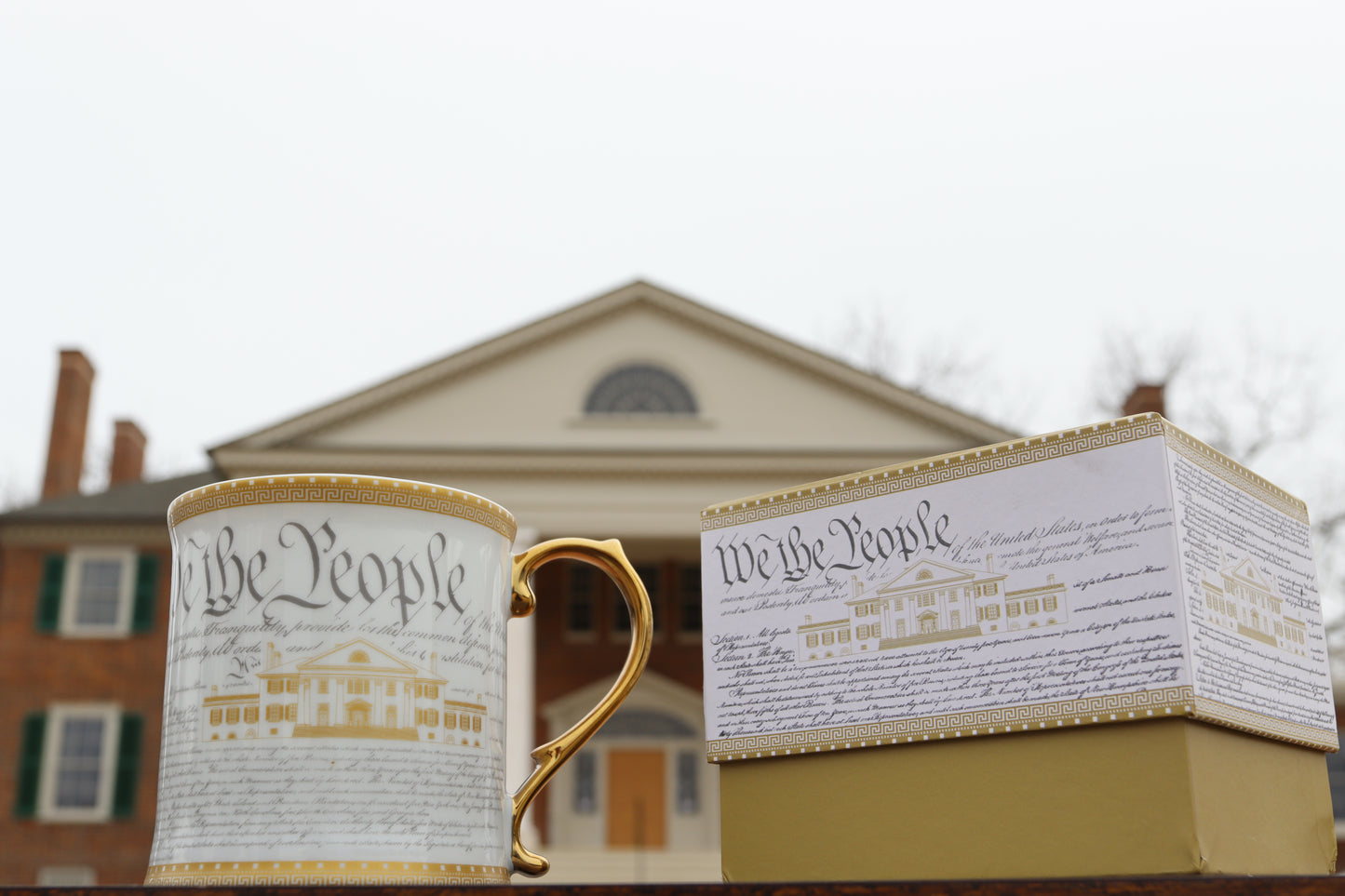 Exclusive We the People Mug