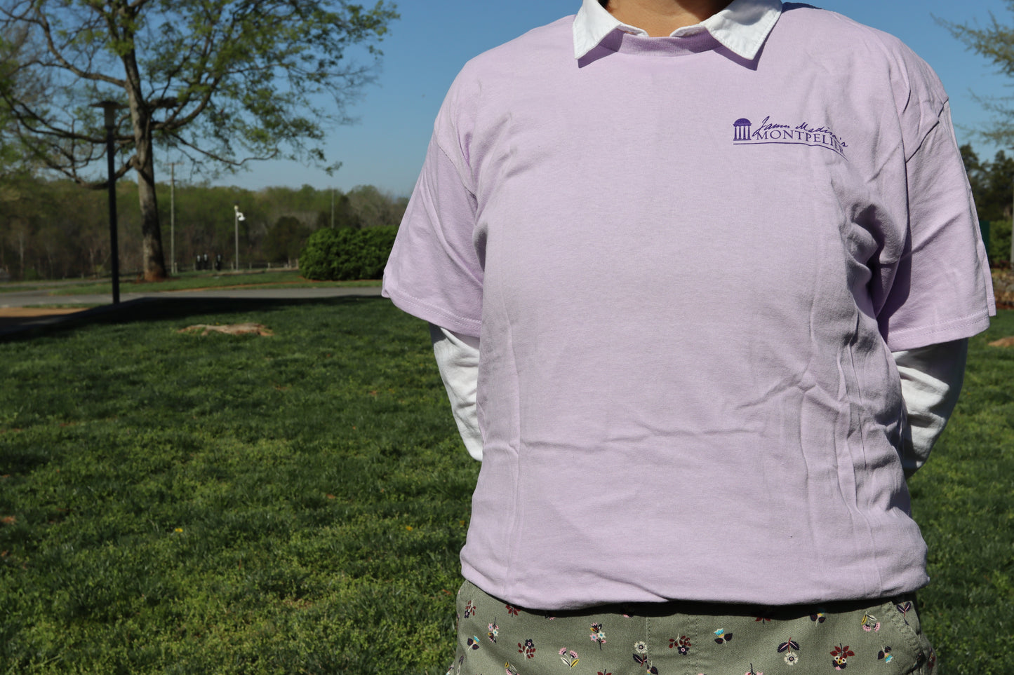 Spring Shirt