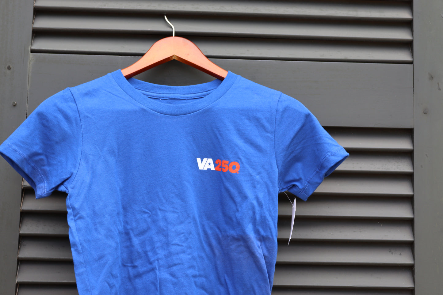 Youth VA250 T-Shirt — Celebrate America’s 250th in Style