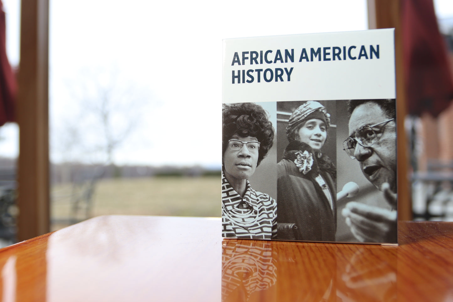 Civics and American History Knowledge Cards