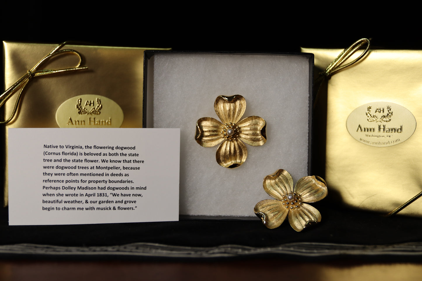 Ann Hand Brooch — Timeless American Style