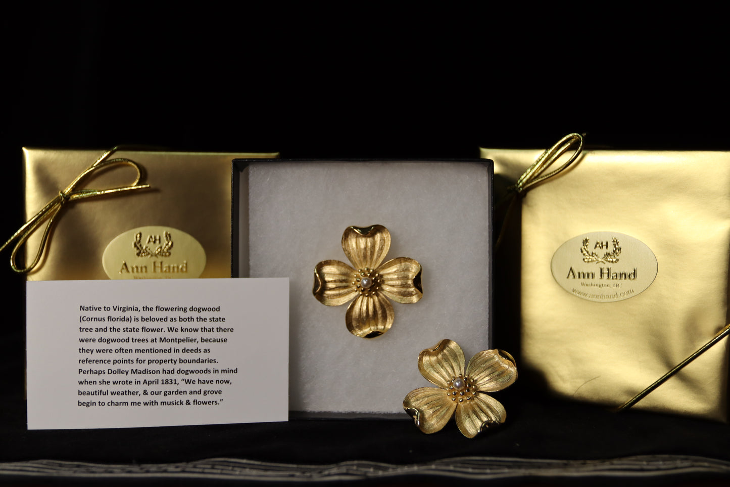 Ann Hand Brooch — Timeless American Style