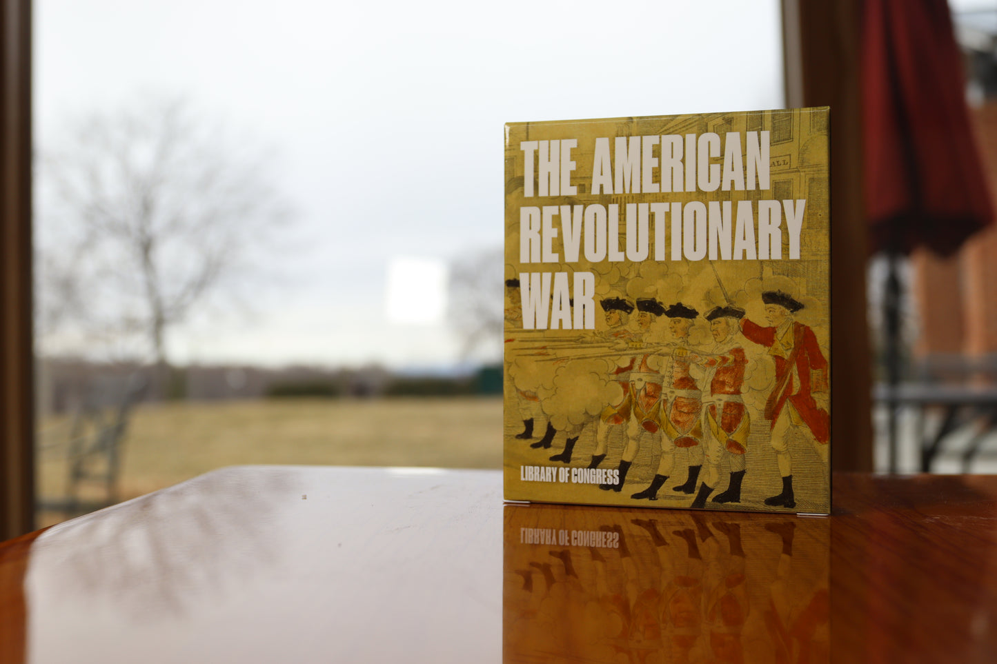 Civics and American History Knowledge Cards