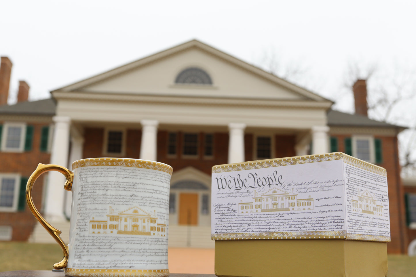 Exclusive We the People Mug