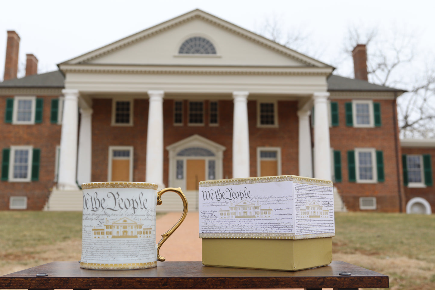 Exclusive We the People Mug