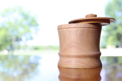 Montpelier Cedar Salt Cellar